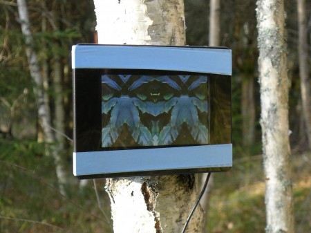 Installation view I