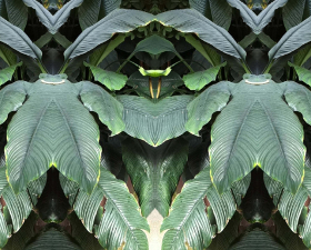 “Nature Copies Us” al MINI Museum